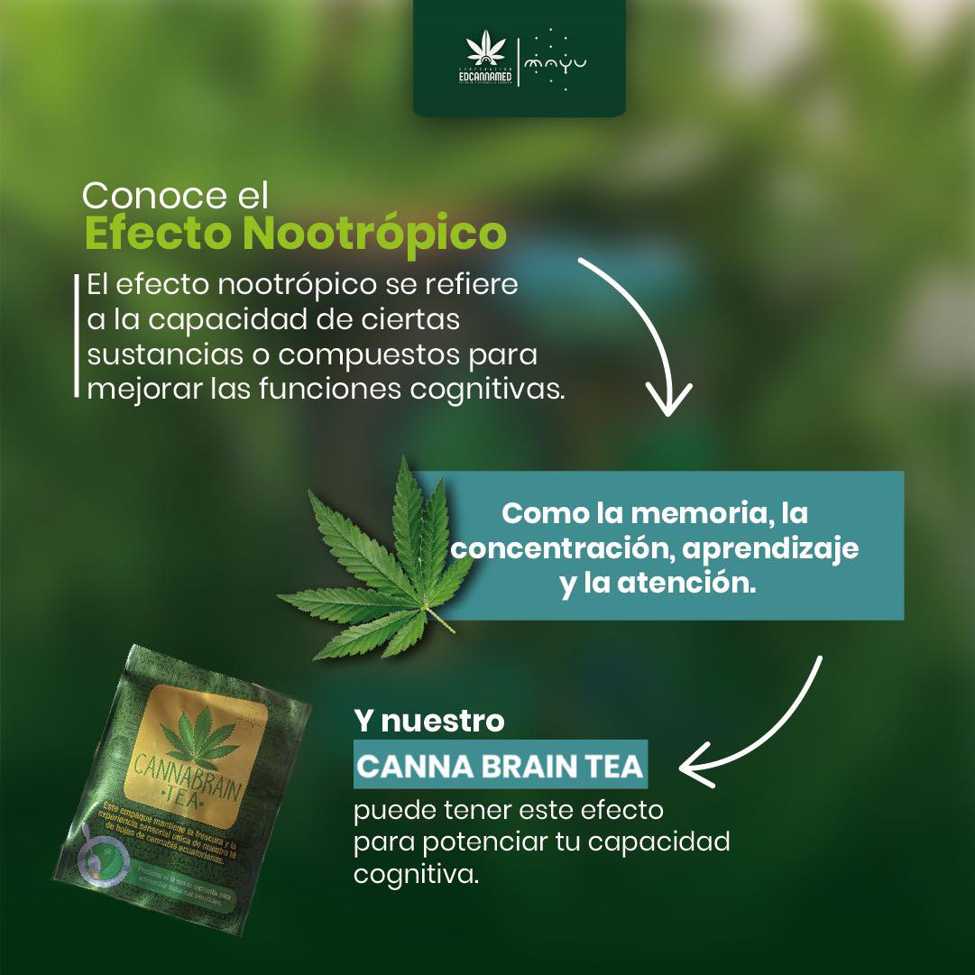 Té CBD