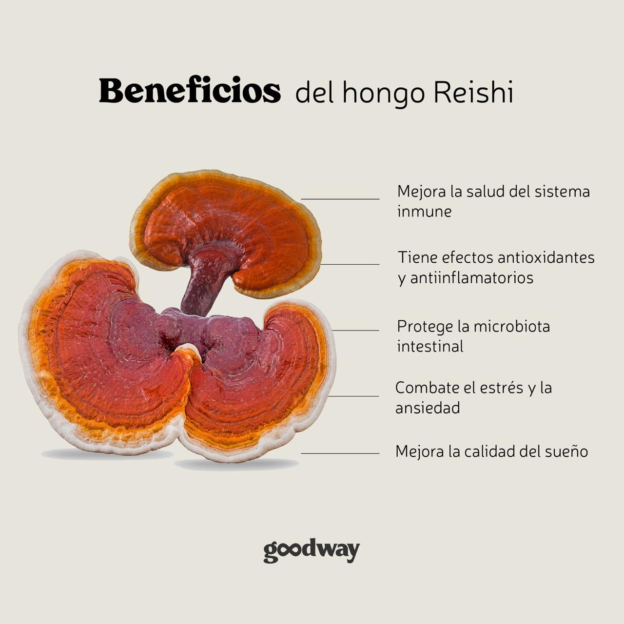Café con Reishi