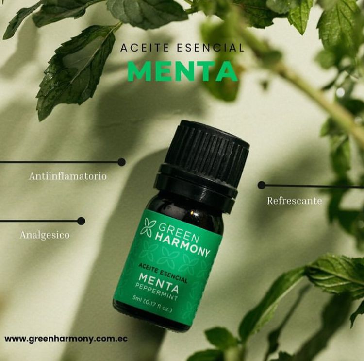 Aceite esencial de menta