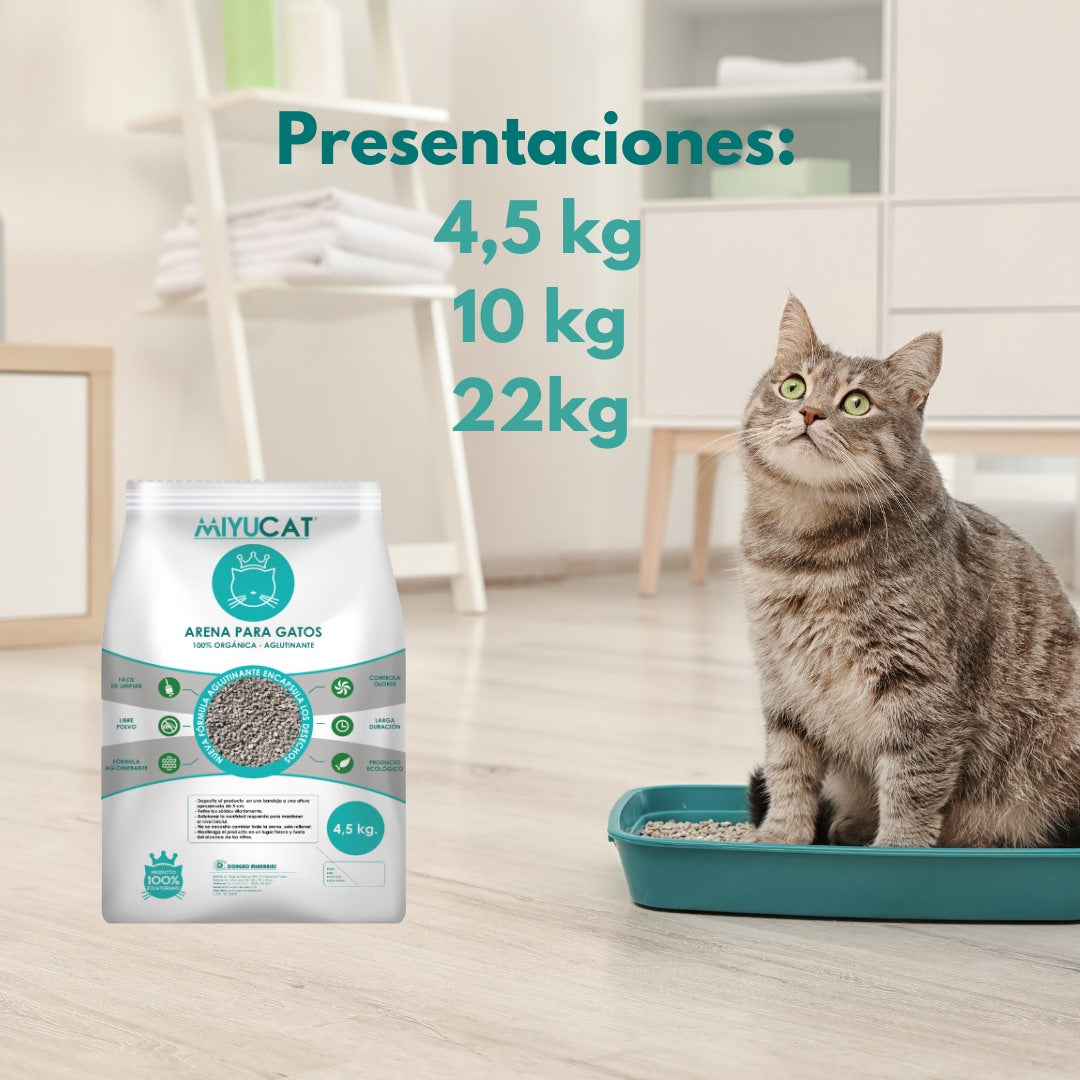 Arena para gatos