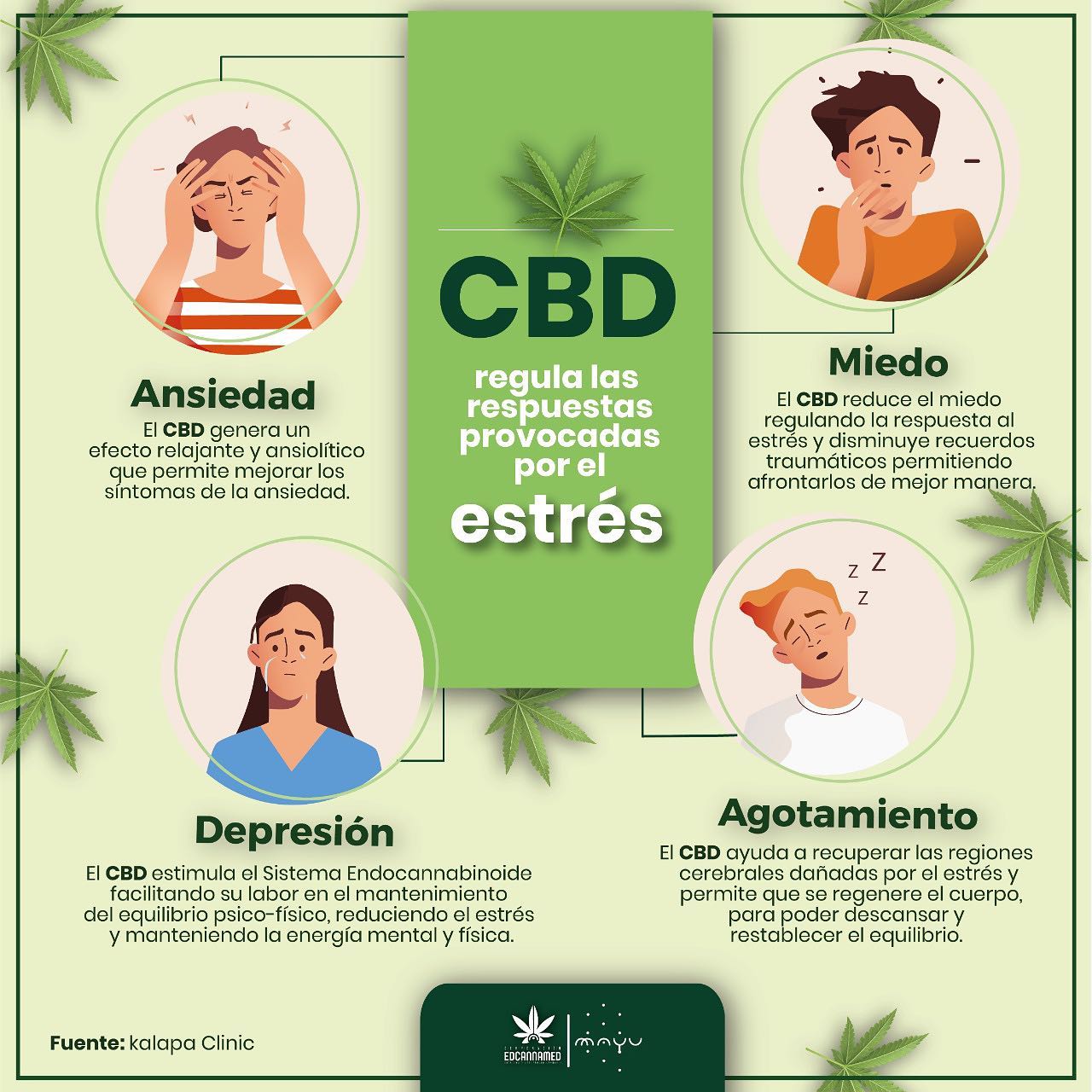 Aceite CBD