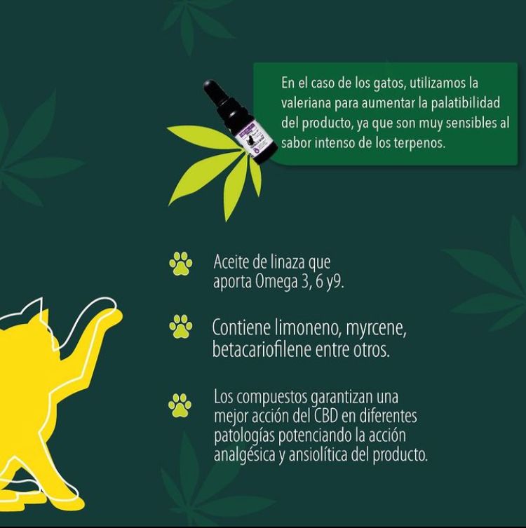 Aceite CBD para mascotas