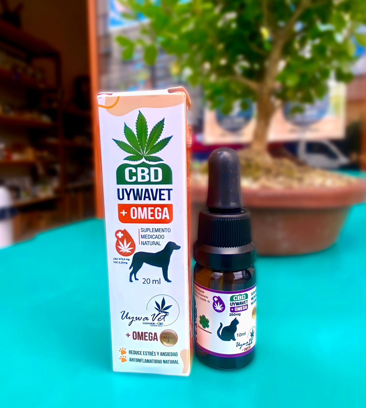 Aceite CBD para mascotas