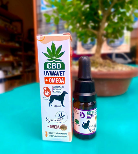 Aceite CBD para mascotas