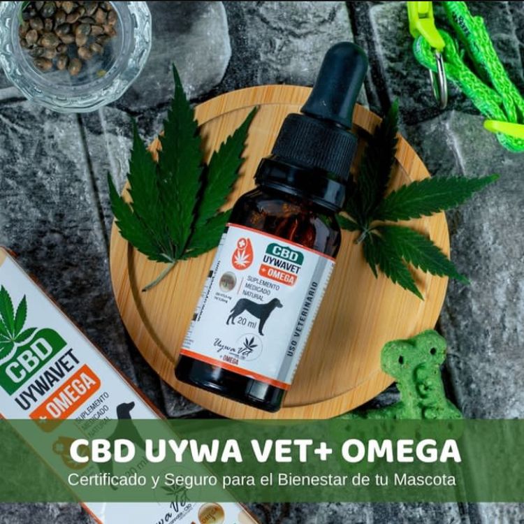 Aceite CBD para mascotas