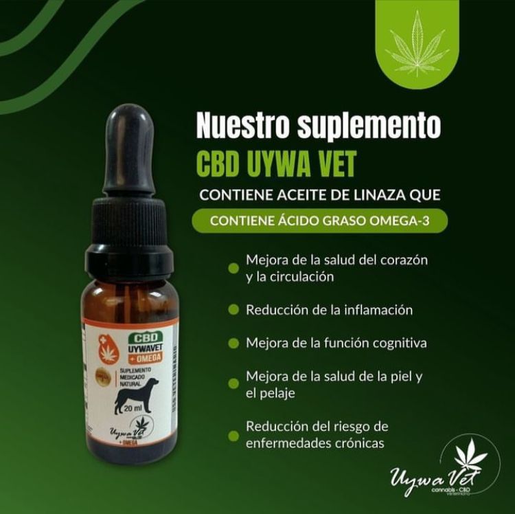 Aceite CBD para mascotas