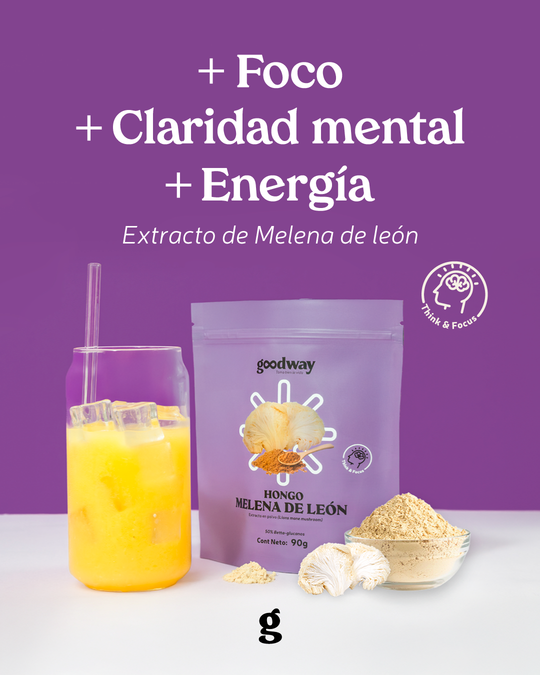 Extracto puro de Melena de León