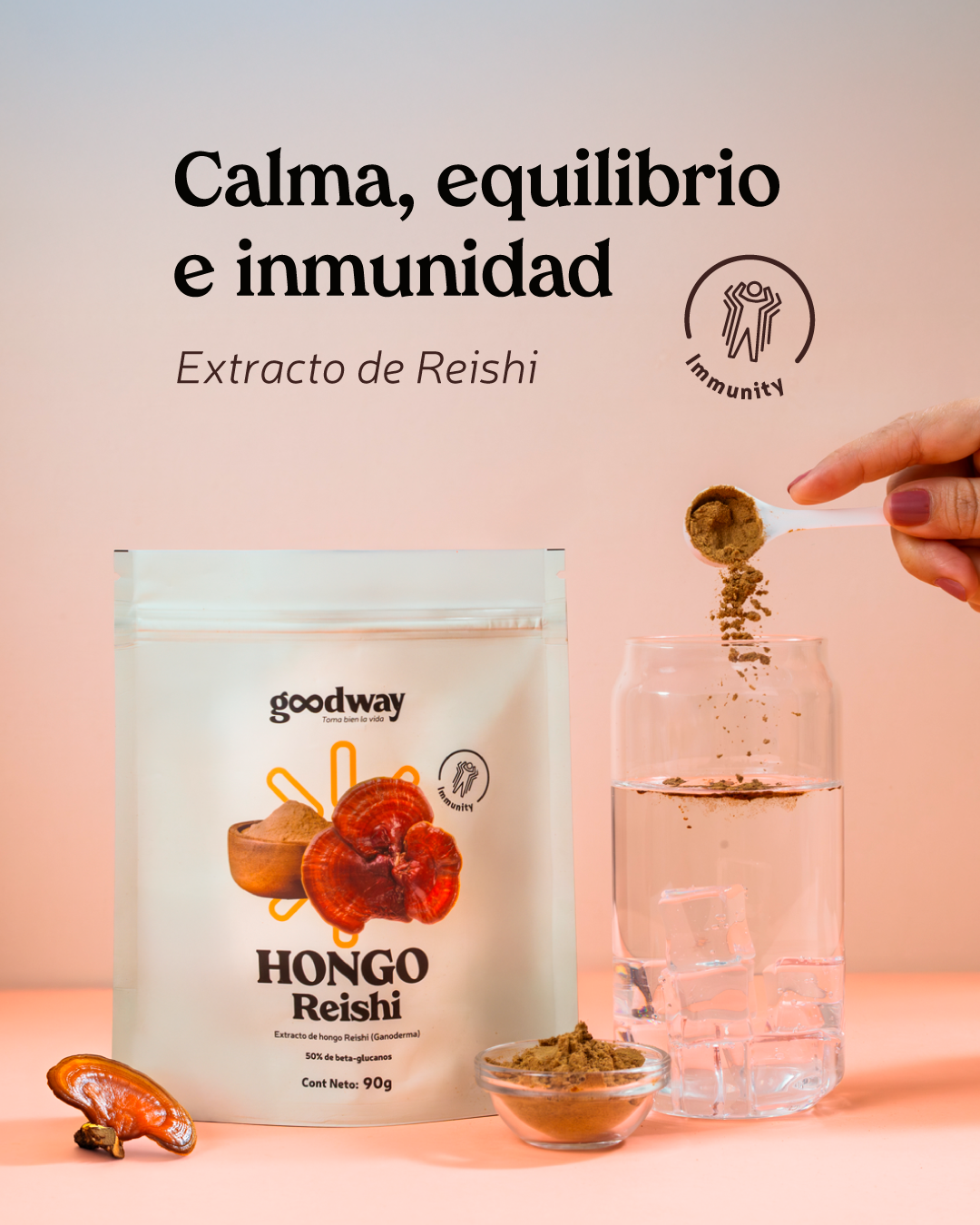 Extracto en polvo de hongo Reishi