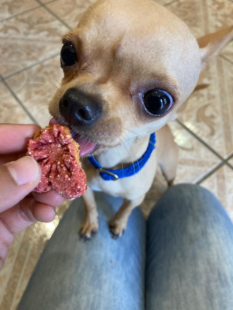 Snacks para perros