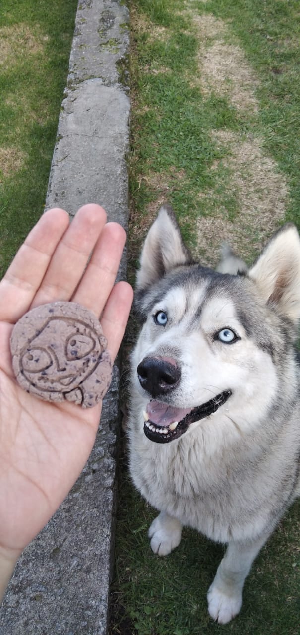 Snacks para perros